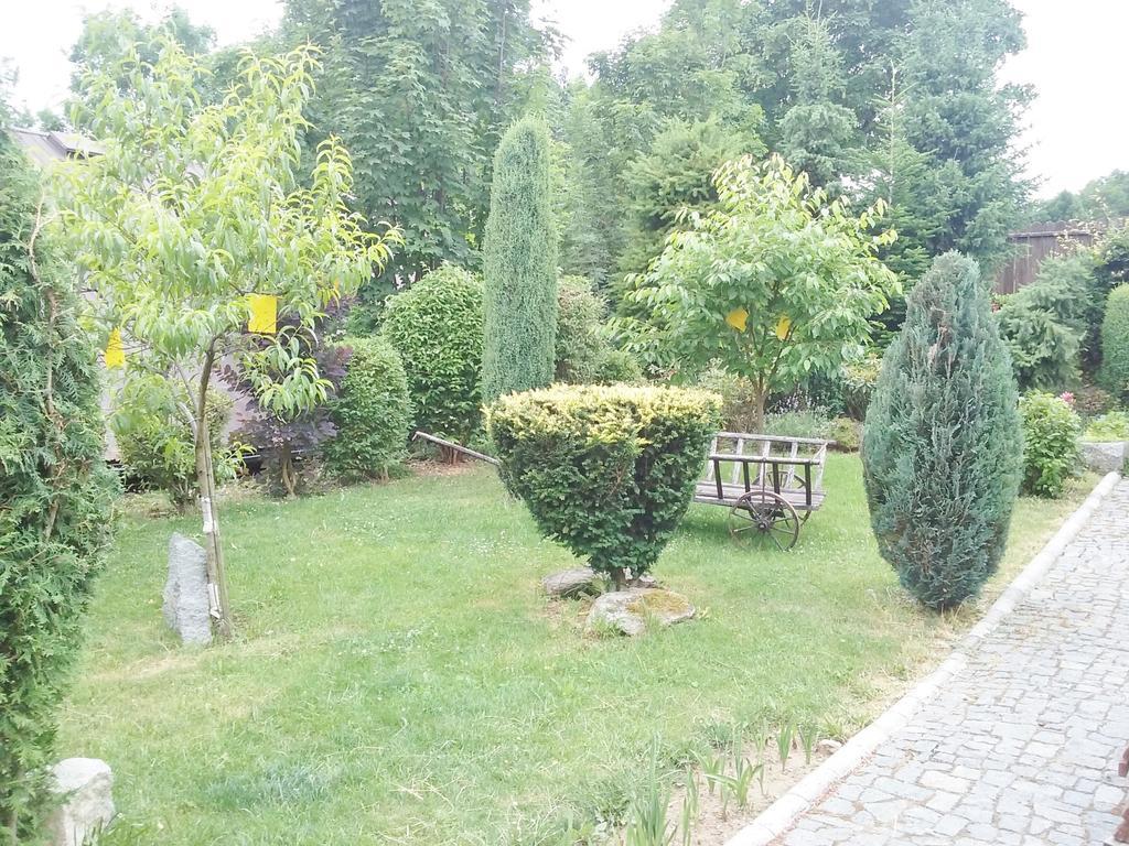 Penzion Hugo Sedlec-Prcice Bagian luar foto