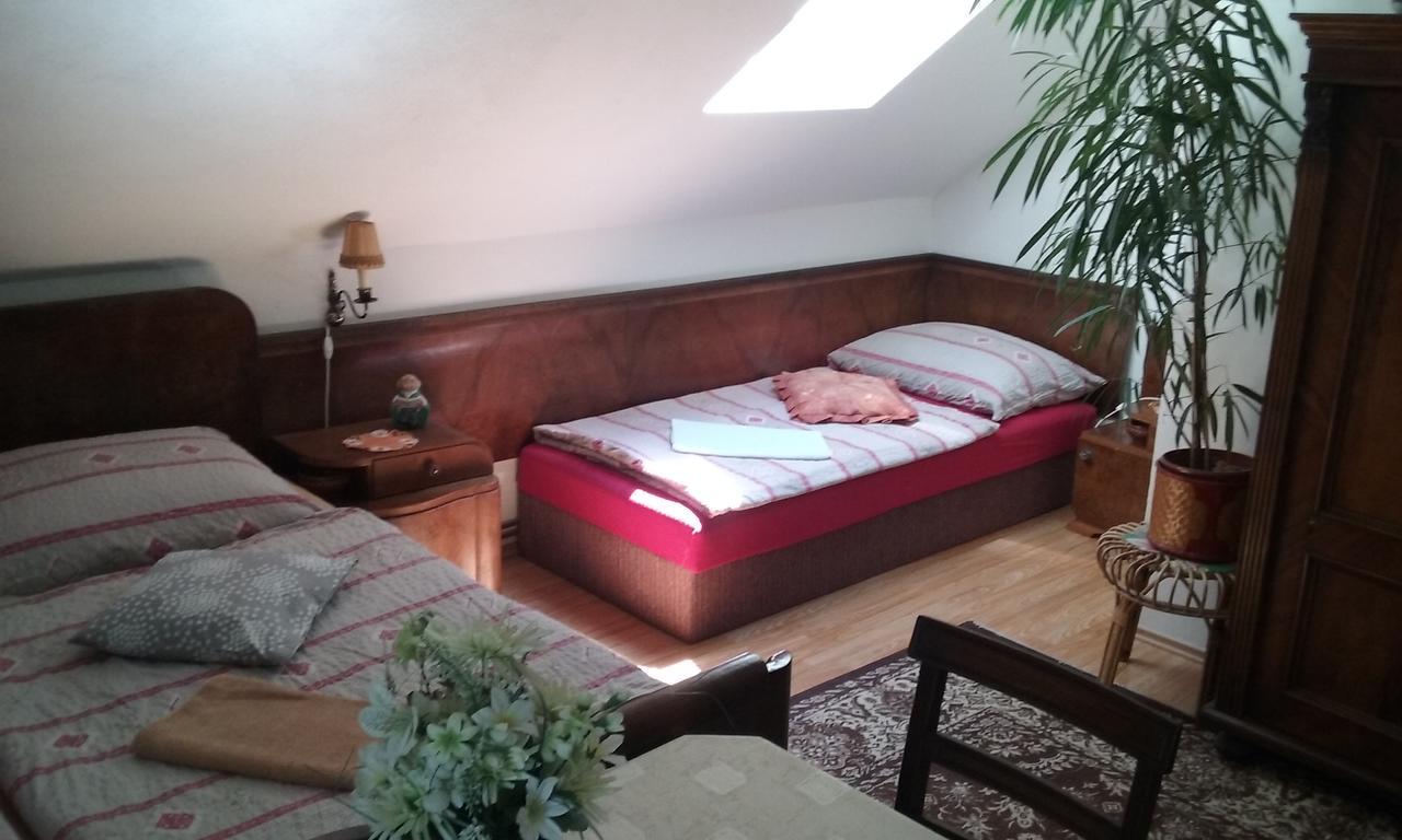 Penzion Hugo Sedlec-Prcice Bagian luar foto