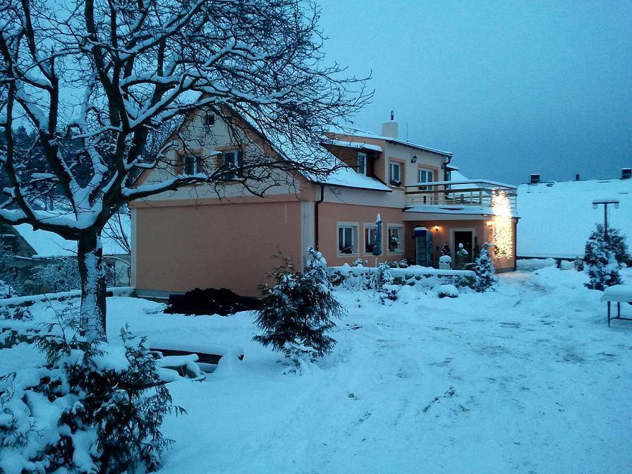 Penzion Hugo Sedlec-Prcice Bagian luar foto