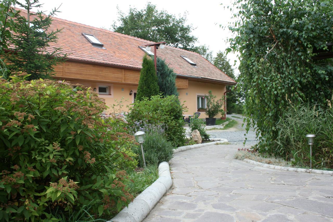 Penzion Hugo Sedlec-Prcice Bagian luar foto